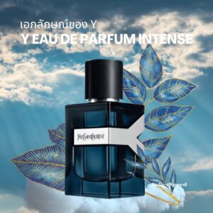 Fragrance YSL EAU DE PARFUM INTENSE Beauty