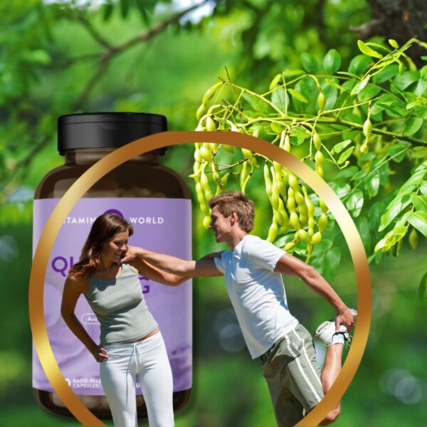 Quercetin 600MG.