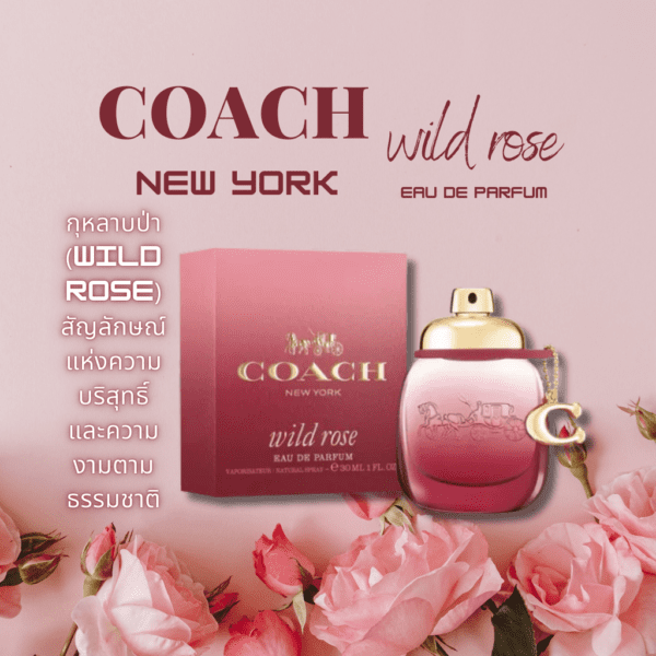 Fragrance Beauty