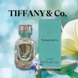 Tiffany & Co. Mini