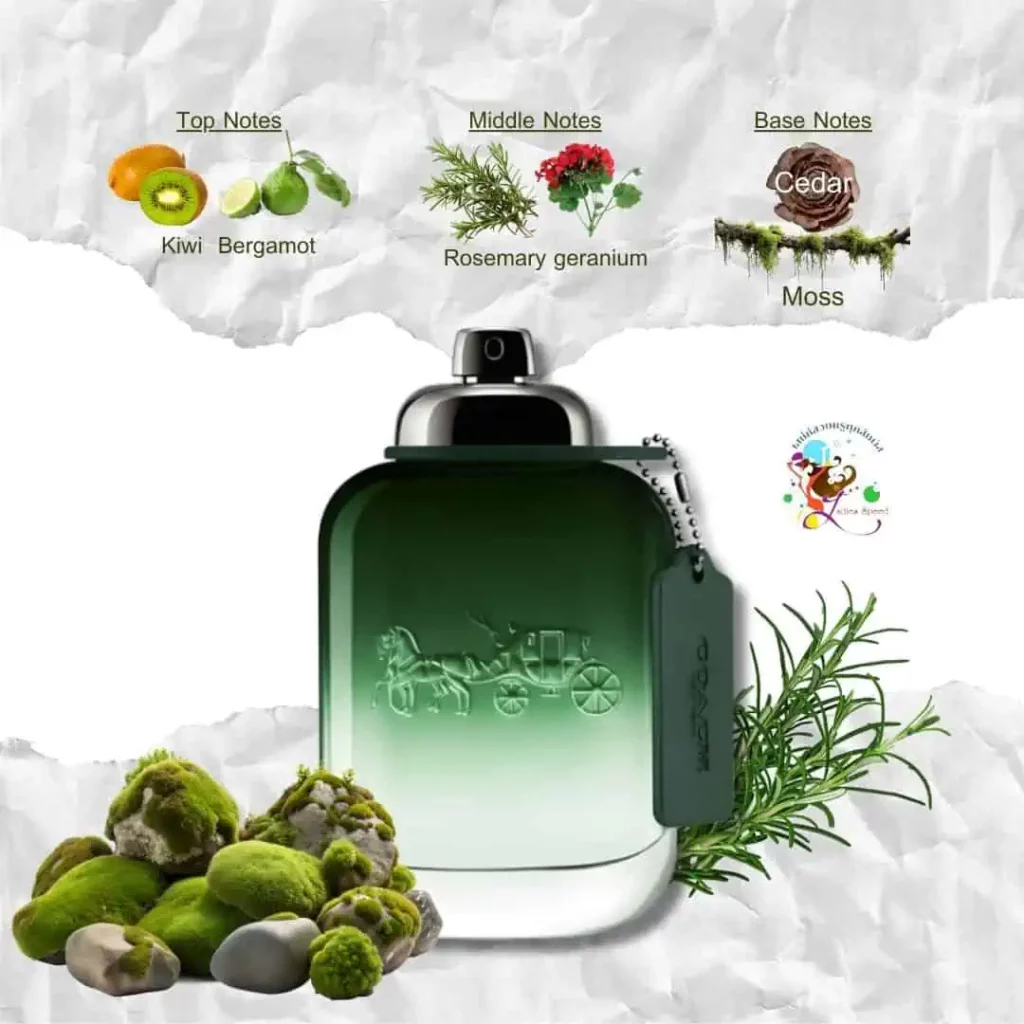 วิธีเลือกน้ำหอมตามอารมณ์ และสะท้อนตัวตน Coach Green For Men EDT แบรนด์ดัง ของแท้