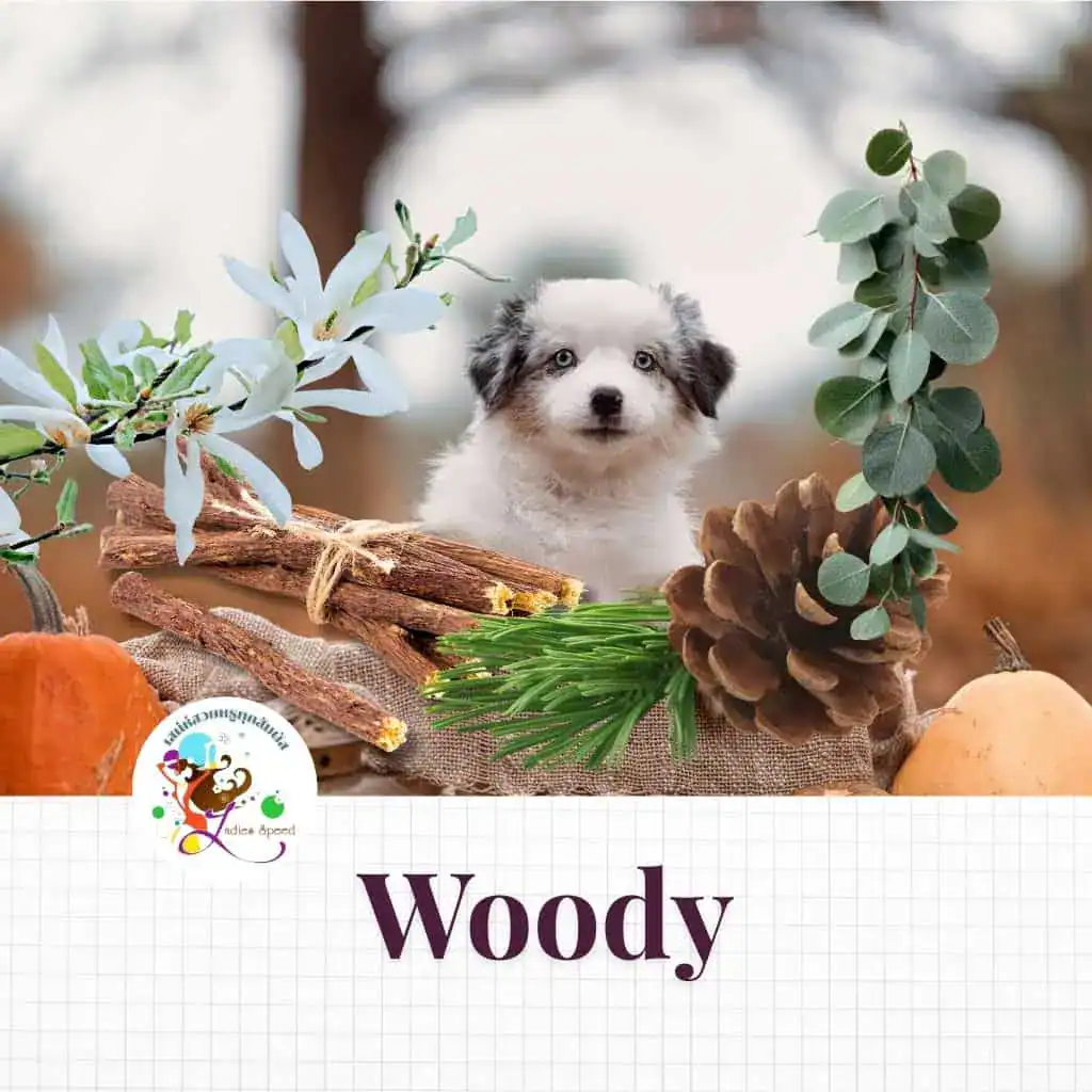  woody-วิธีการเลือกน้ำหอม-how-to-choose-perfume